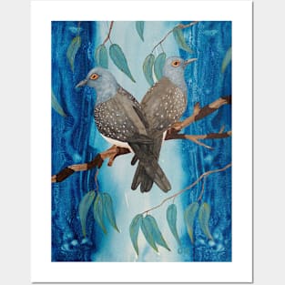 Australian Diamond Doves - birds Posters and Art